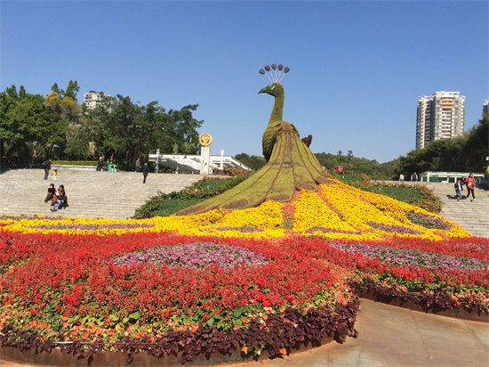 深圳有哪些好玩又不用花錢買門票的免費公園