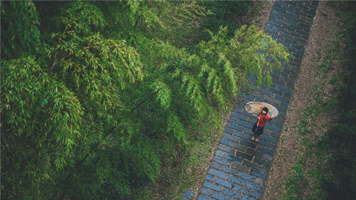 深圳未來(lái)一周仍有局部強(qiáng)降雨 深圳未來(lái)十天天氣預(yù)報(bào)