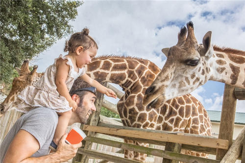 深圳野生動(dòng)物園活動(dòng)8月27日起有序恢復(fù)開放