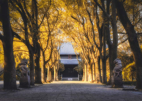 深圳萬佛禪寺?8月31日起有序恢復開放