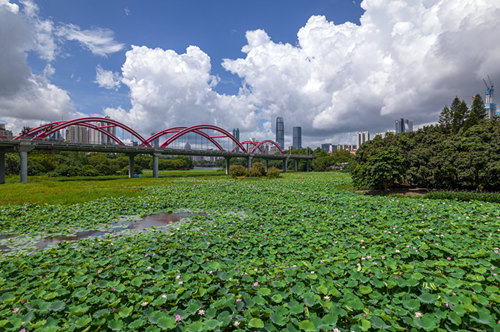 深圳地鐵7號(hào)線景點(diǎn)游玩攻略