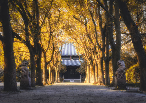 2022深圳大華興寺新年祈福法會時間