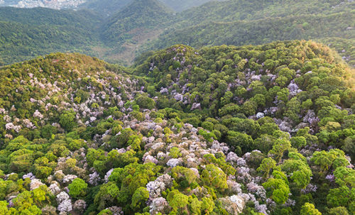 深圳梧桐山現(xiàn)在開放了嗎 梧桐山開放時(shí)間