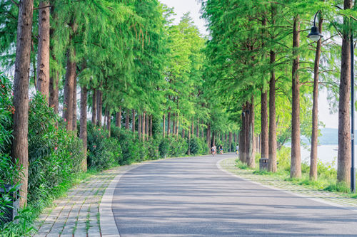 深圳綠道騎行路線推薦 深圳有哪些綠道