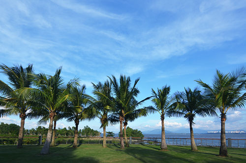 深圳女媧海濱公園游玩攻略(附地址+交通指引)