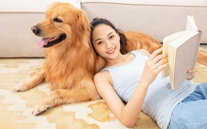 深圳辦理養(yǎng)犬登記證需要提供什么資料