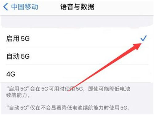 iPhone如何把4G網設置成5G 具體設置方法