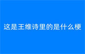 這是王維詩里的是什么梗 這是王維詩里的梗出自哪里