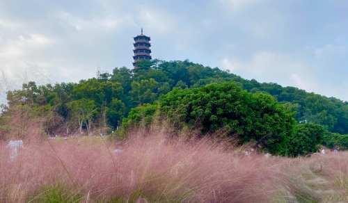 深圳紅花山公園開(kāi)放時(shí)間(地址+交通指南)