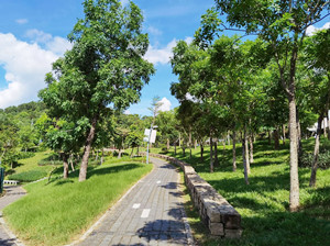 龍崗區(qū)大運(yùn)公園有哪些景點(diǎn) 大運(yùn)公園開放時間是多少