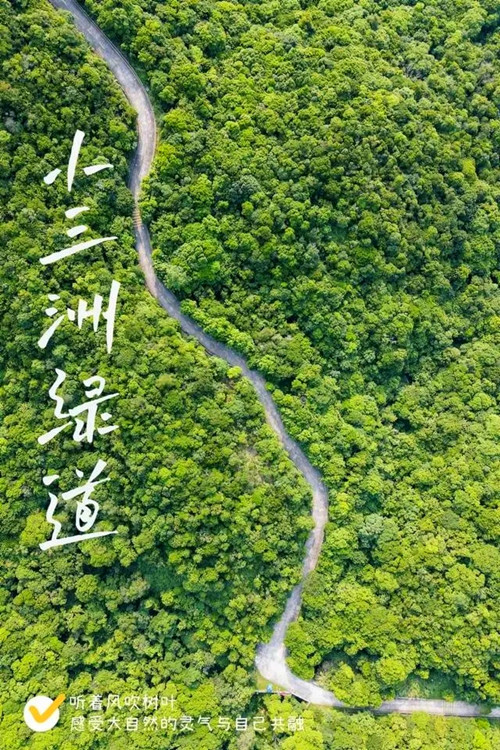 深圳小三洲綠道在哪里(地址+交通)