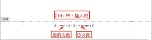 word怎么編輯頁(yè)碼 word文檔如何快速添加頁(yè)碼