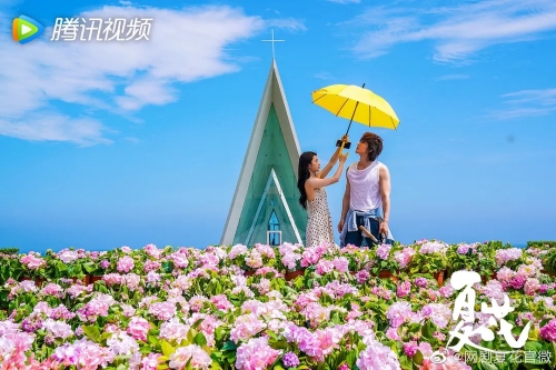 夏花電視劇是根據(jù)什么改編的