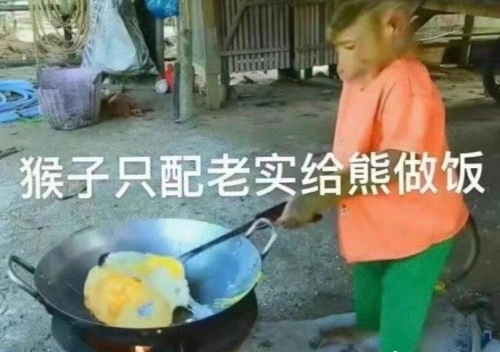 猴子只配給熊做飯是什么梗