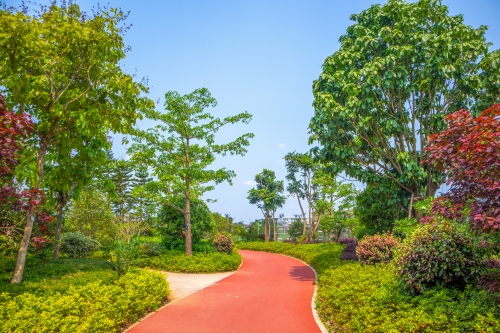 開車去深圳灣公園要預約嗎