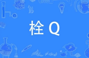 栓q網(wǎng)絡用語是什么意思