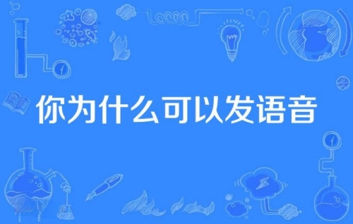 你為什么可以發(fā)語音梗是什么意思