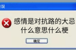 感情是對(duì)抗路的大忌是什么梗