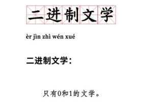 網(wǎng)絡(luò)用語二進制文學(xué)是什么梗