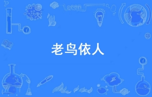 網(wǎng)絡用語老鳥依人是什么梗