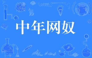 網(wǎng)絡用語中年網(wǎng)奴是什么梗