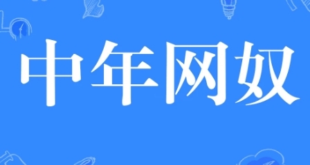 網(wǎng)絡用語中年網(wǎng)奴是什么梗