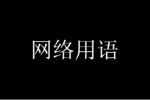 建議專家不要建議是什么梗