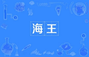 網(wǎng)絡(luò)用語海王是什么梗