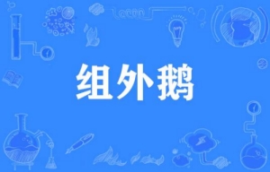 網(wǎng)絡用語組外鵝是什么梗