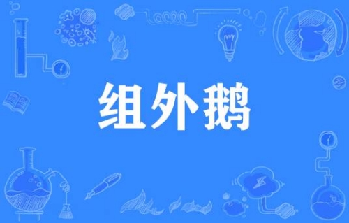 網(wǎng)絡(luò)用語組外鵝是什么梗