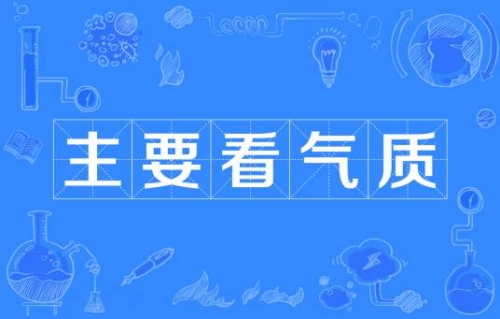 網(wǎng)絡用語主要看氣質(zhì)是什么梗