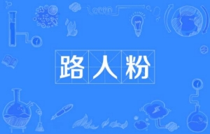 網(wǎng)絡用語路人粉是什么梗