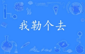 網絡用語我嘞個去是什么梗