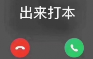 網(wǎng)絡用語劇本殺全息本是什么梗