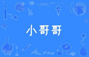 小哥哥是什么梗 小哥哥梗含義介紹