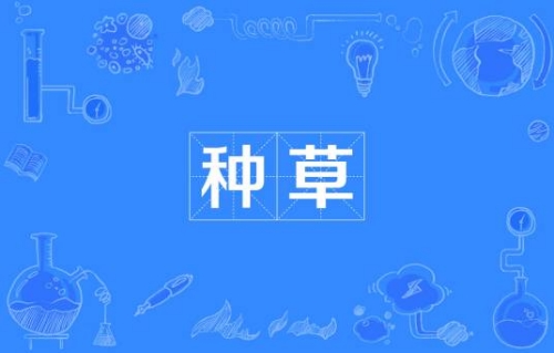 網(wǎng)絡(luò)流行語種草是什么梗 種草梗含義介紹