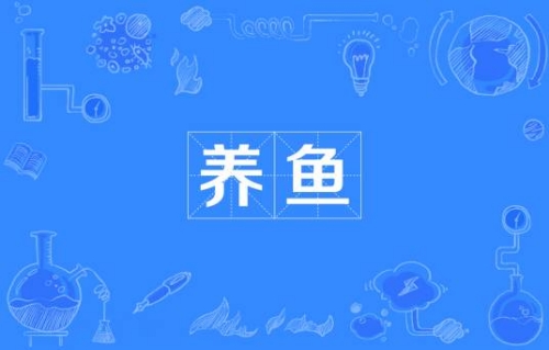 網絡流行詞養(yǎng)魚是什么梗 養(yǎng)魚梗含義介紹