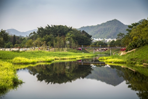 2024深圳坪山區(qū)春節(jié)游玩好去處