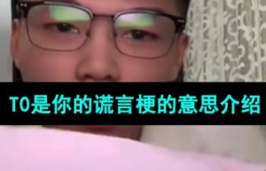 T0是你的謊言是什么梗 T0是你的謊言梗意思介紹