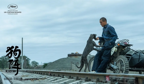 《狗陣》定檔6月15日全國(guó)上映 彭于晏、佟麗婭領(lǐng)銜主演