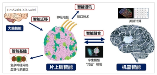 中國首創(chuàng)：人腦驅(qū)動機器人技術(shù)成功